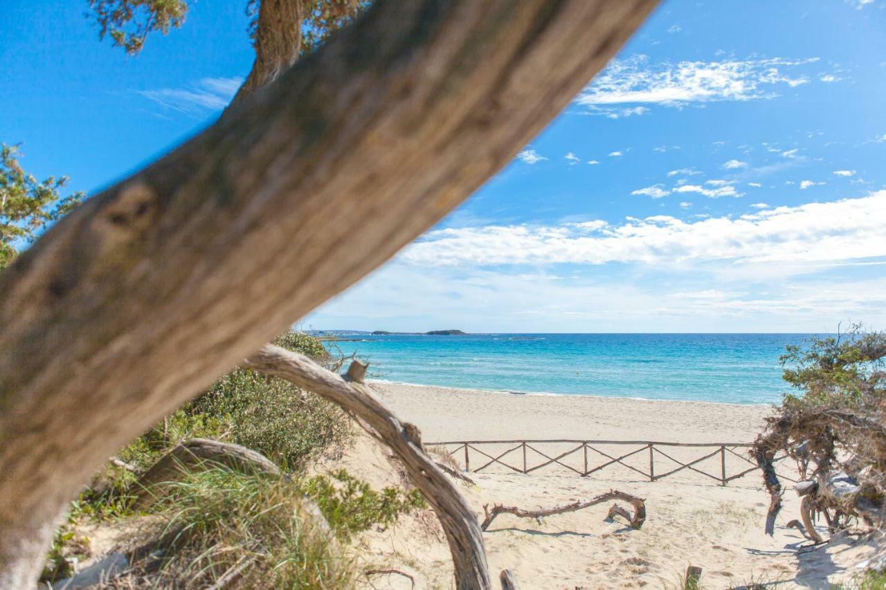 Sunkiss Apartment 500Mt Dal Mare Porto Cesareo Exterior foto